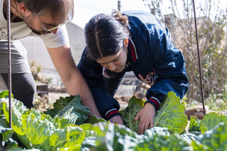clara-pallares-el-menú-circular-en-la-restauración-sostenible-ee39e7