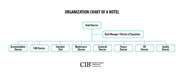 exploring-the-duties-and-role-of-an-executive-chef-cib-d4137d