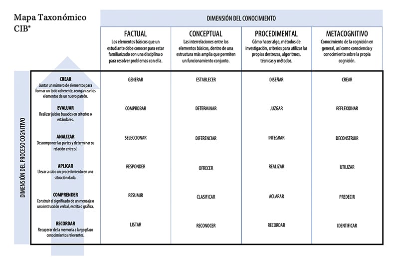 el-plan-de-estudios-que-va-más-allá-del-conocimiento-888513