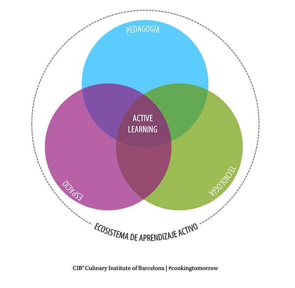 el-plan-de-estudios-que-va-más-allá-del-conocimiento-a0ce28
