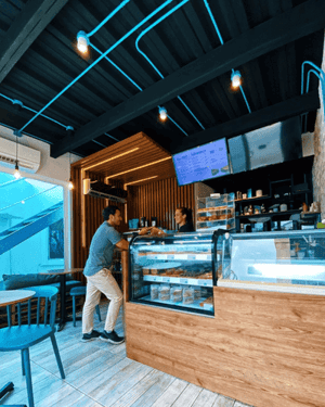 empezando-el-plan-de-negocio-dónde-nace-la-idea-de-prot-inn-5dc666