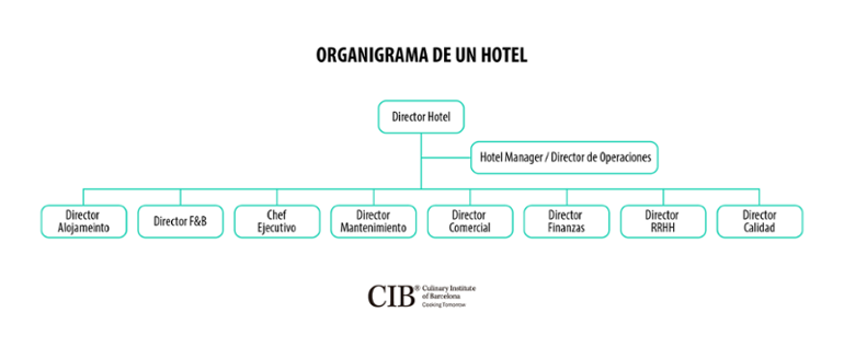 organigramas-01-2-1