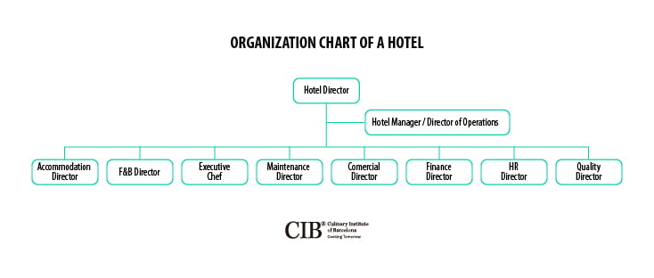 organization of a hotel