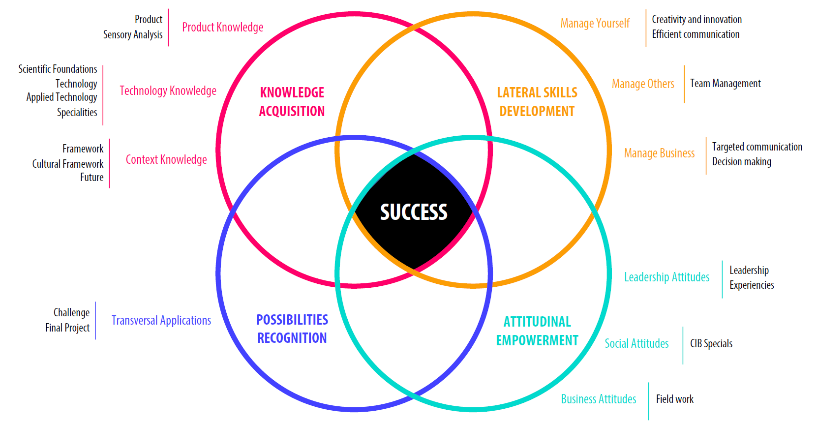 successlearning